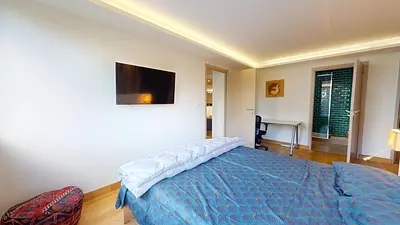 Photo du 67 Rue François Peissel, 69300 Caluire-et-Cuire, France Caluire-et-Cuire