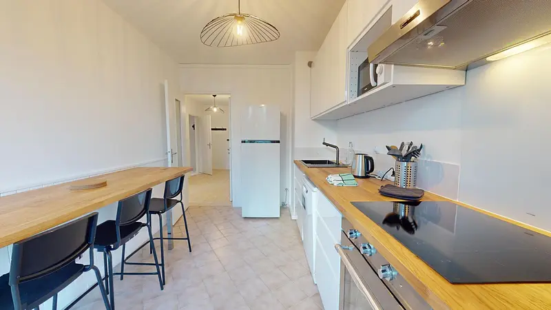 Photo du 100 Avenue Debourg, 69007 Lyon, France Lyon