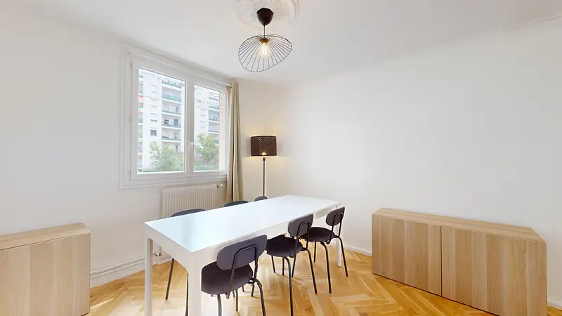 Photo du 102 Cours Emile Zola, 69100 Villeurbanne, France Villeurbanne