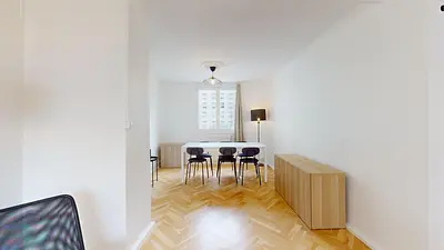 Photo du 102 Cours Emile Zola, 69100 Villeurbanne, France Villeurbanne