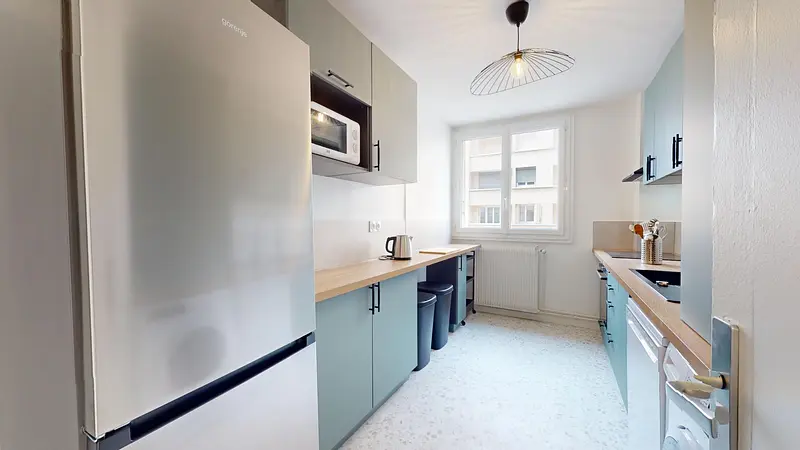 Photo du 102 Cours Emile Zola, 69100 Villeurbanne, France Villeurbanne