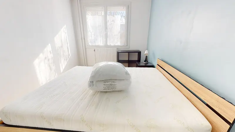 Photo du 4 Allée Julien Duvivier, 69100 Villeurbanne, France Villeurbanne
